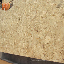 Water-proof OSB 3 /oriented strand board , 15mm price plate OSB